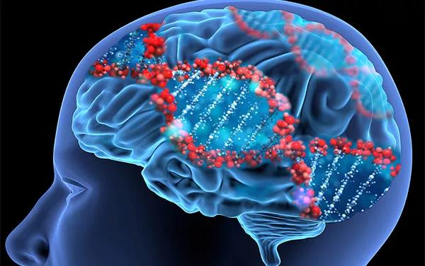 Science：基因也有“生物钟”，至少影响150种疾病 中国科学网www.minimouse.com.cn